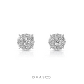 NOBLE CLUSTER STUDS