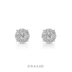 NOBLE CLUSTER STUDS