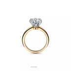 Engagement Ring in Platinum
