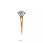Engagement Ring in Platinum