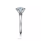 Engagement Ring in Platinum