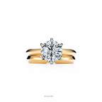 Engagement Ring in Platinum