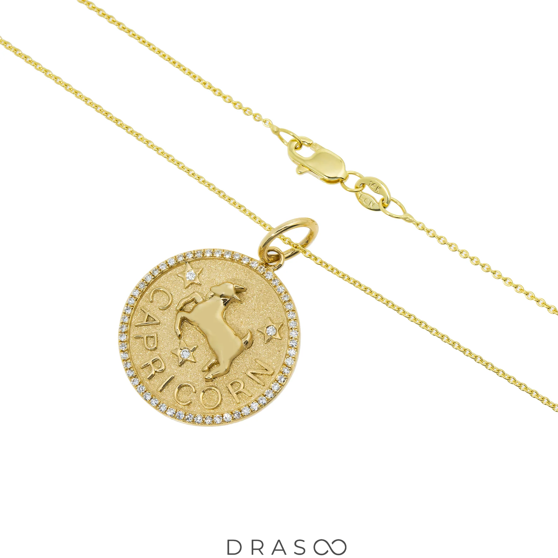 CAPRICORN PENDANT
