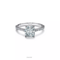Cushion-Cut Engagement Ring with a Pavé Diamond Platinum Band